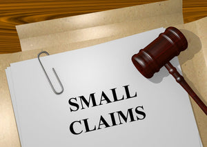 We represent clients in Small Claims from drafting claims 